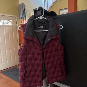 The North Face Women's Puffer 700 Down Vest